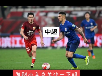江南体育-延边富德vs上海申花上海申花崛起，纵横战场